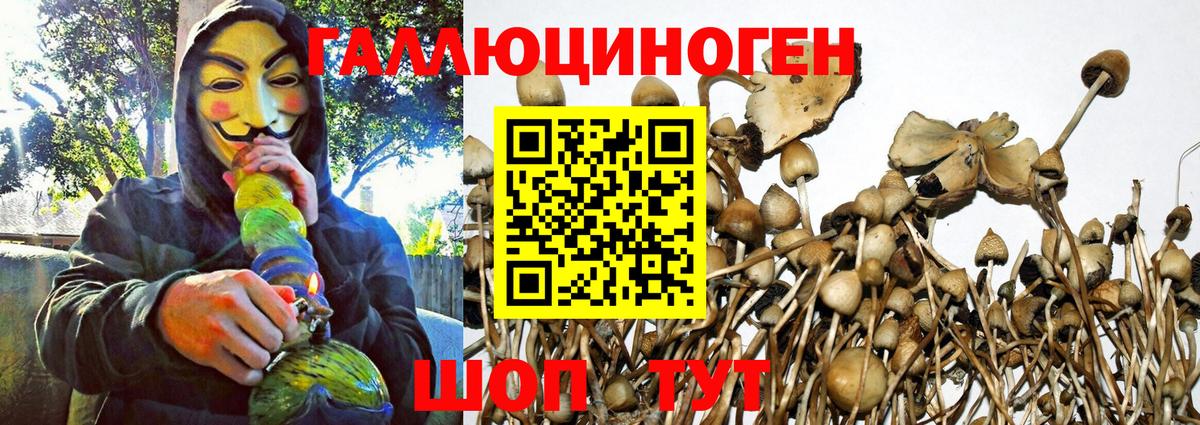 Можайск  Галлюциногенные грибы Psilocybe  Вход с VPN 